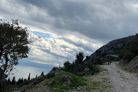 Kefalonia Ainos Premium 4x4 Van Experience