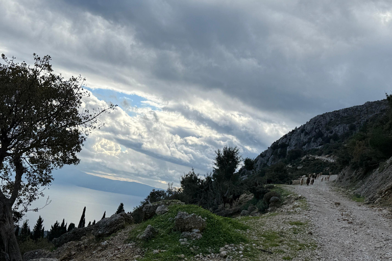Kefalonia Ainos Premium 4x4 Van Experience