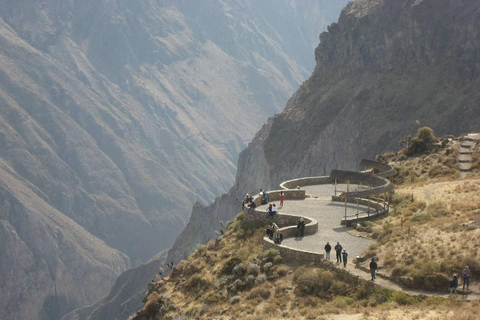 1D Full Tour to Colca Canyon with Breakfast and Lunch Buffet