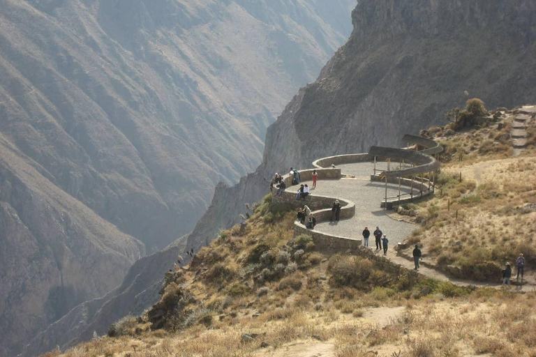 1D Full Tour to Colca Canyon with Breakfast and Lunch Buffet