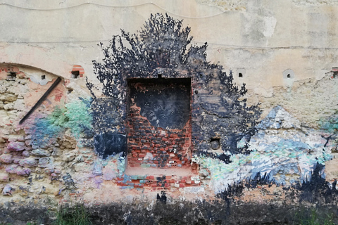 Lisbonne : visite « Real Lisbon Street Art » en monospace