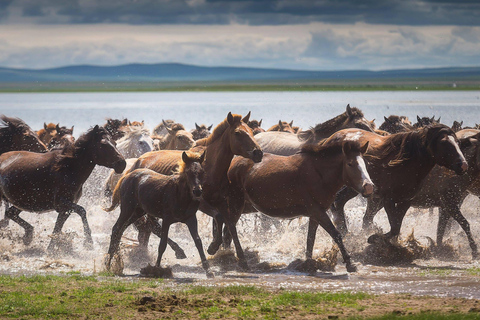 1 Day Horseback Riding Tour with Historic Temple