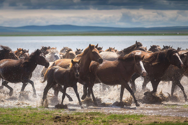 1 Day Horseback Riding Tour with Historic Temple