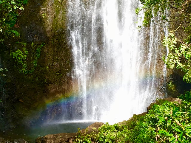 East Maui: Private Rainforest or Road to Hana Loop Tour