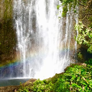 Maui: Private Rainforest or Road to Hana Loop Tour