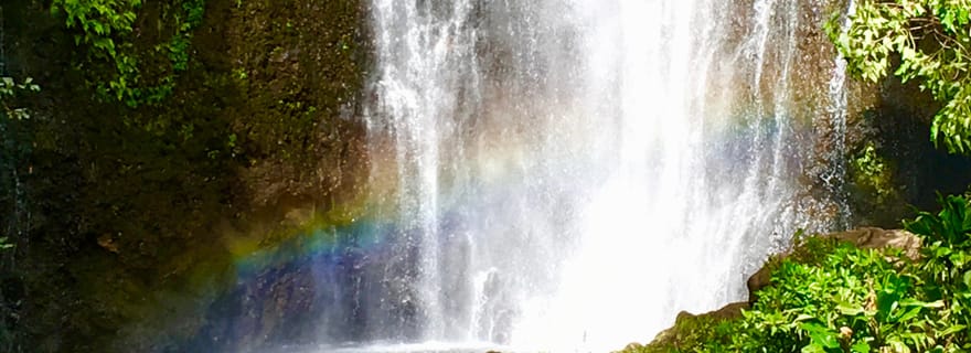 Maui Est : excursion privée dans la forêt tropicale ou circuit en boucle sur la route de Hana