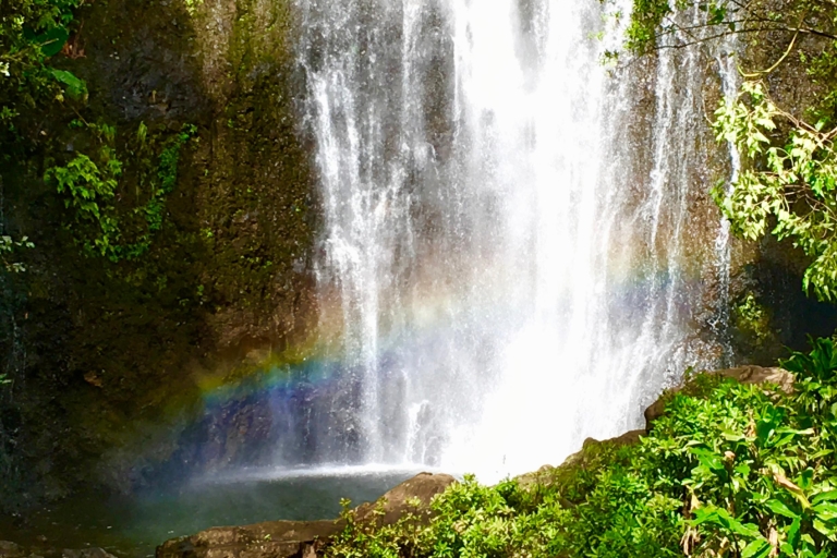 Maui: visite privée de la forêt tropicale ou de la route vers HanaCircuit privé de la route de Hana (boucle complète)