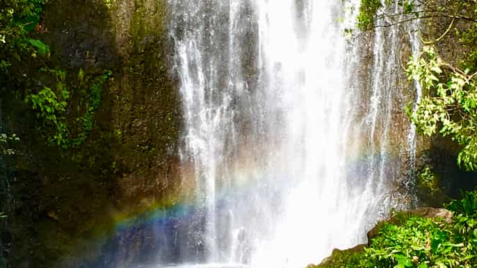 maui private rainforest or road to hana loop tour