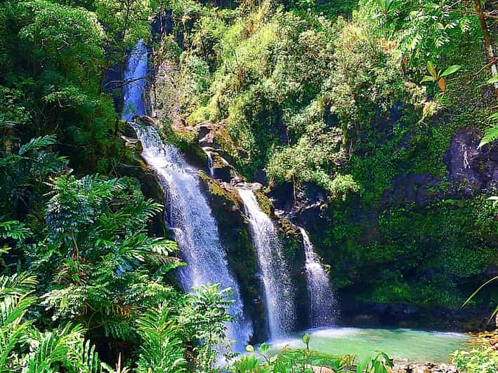 South Maui: Private Rainforest or Road to Hana Loop Tour | GetYourGuide