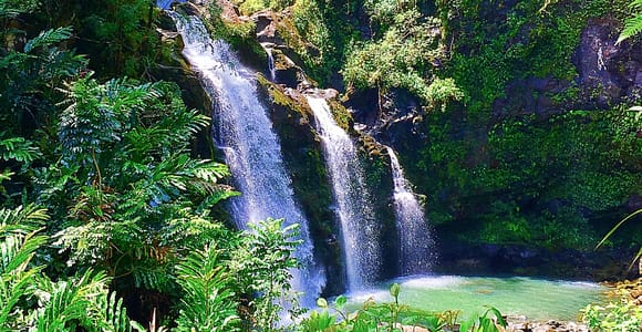 East Maui: Private Rainforest Tour or Road to Hana Loop Tour