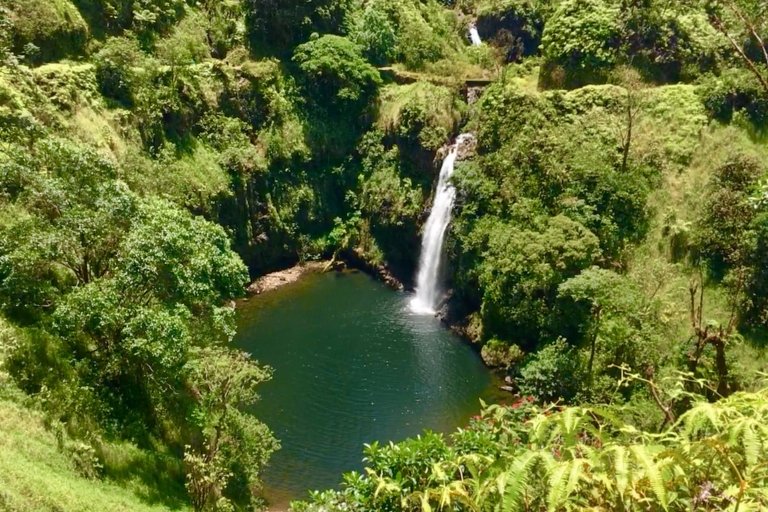 Maui: privé-regenwoud of weg naar Hana Loop TourPrivate Hana & Back Rainforest Tour