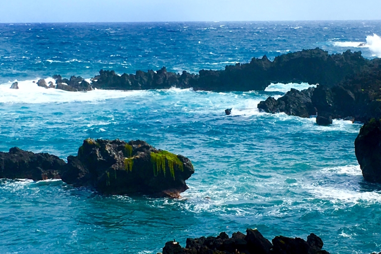 Maui: Private Regenwald- oder Road to Hana Loop TourPrivate Road to Hana Full Loop Tour