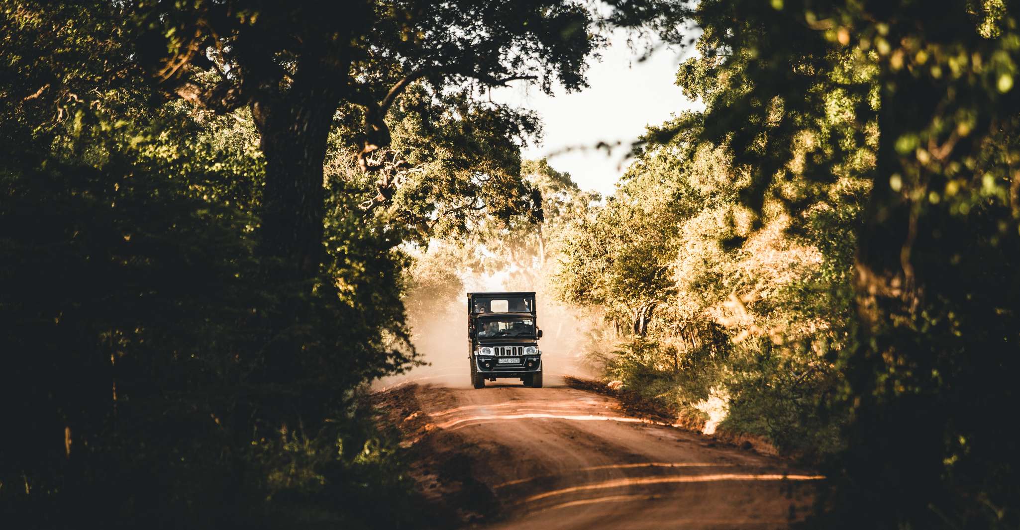 Yala National Park, Morgen oder Nachmittag Game Drive - Hizvo