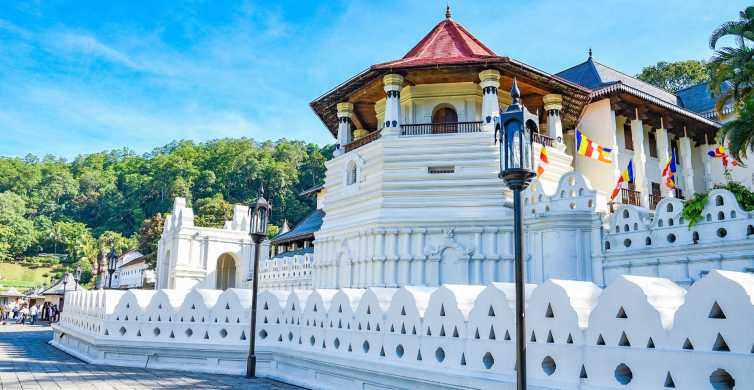Kandy: tour della città tutto compreso