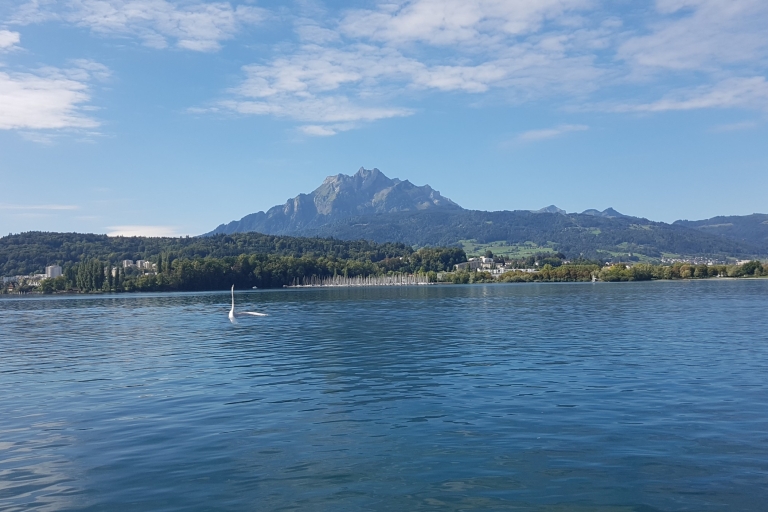 Der Pilatus: Private Tour mit Seerundfahrt ab Zürich