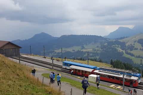 From Basel: Private Mount Rigi Tour with Lake Lucerne Cruise