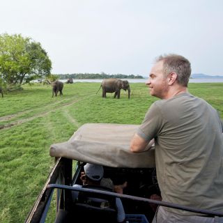 Safari com tudo incluído no Parque Nacional Minneriya à tarde