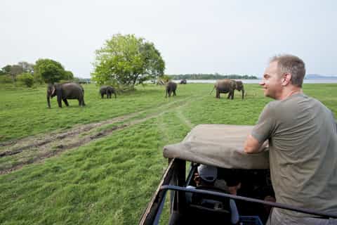 Minneriya-Nationalpark: All-Inclusive-Safari am Nachmittag