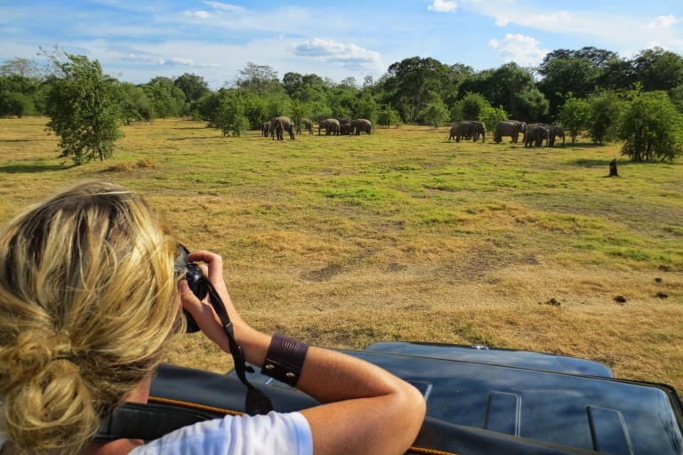 Safari tout compris dans le parc national de Minneriya l'après-midi