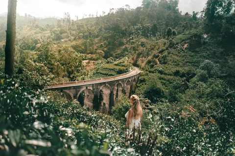 Nuwara Eliya: Ella & Little Adam's Peak All-Inclusive Tour