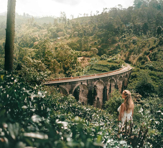 Little Adam's Peak: Escursioni, tour e gite da Nuwara Eliya