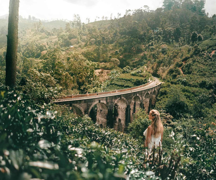 Nuwara Eliya: Ella & Little Adam's Peak All-Inclusive Tour