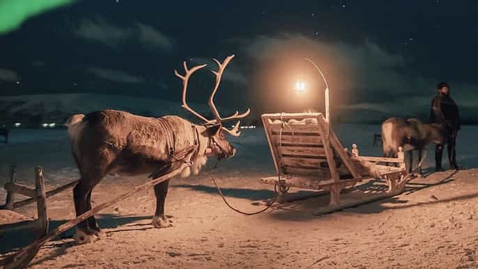 night reindeer sledding dinner chance of northern lights