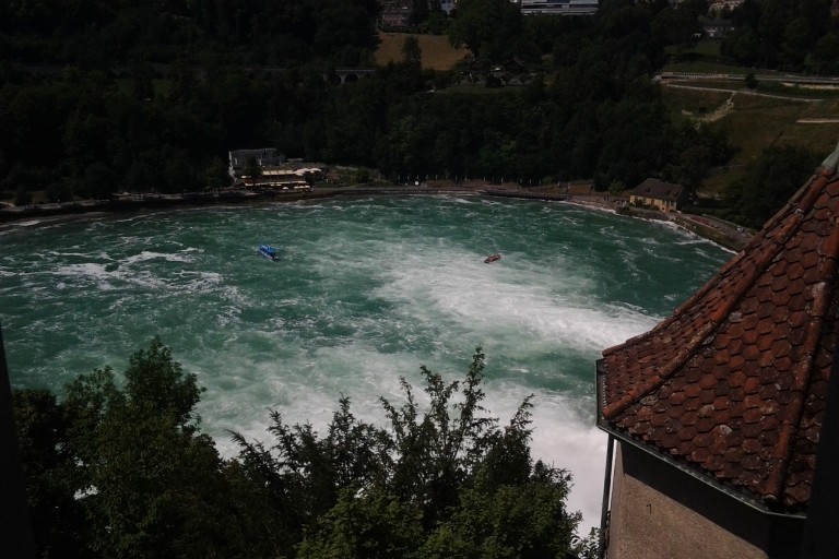 Zurich : visite privée des chutes du Rhin et de Schaffhouse