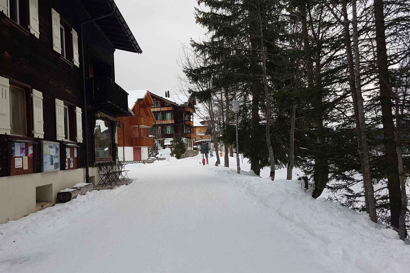 007风采：苏黎世出发雪朗峰私人专属游