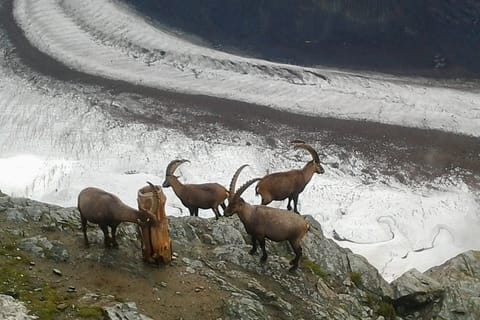 Natuur & avontuur