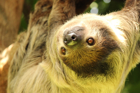 Aquarium de Vancouver : billet coupe-fileVancouver : billet coupe-file pour l'aquarium