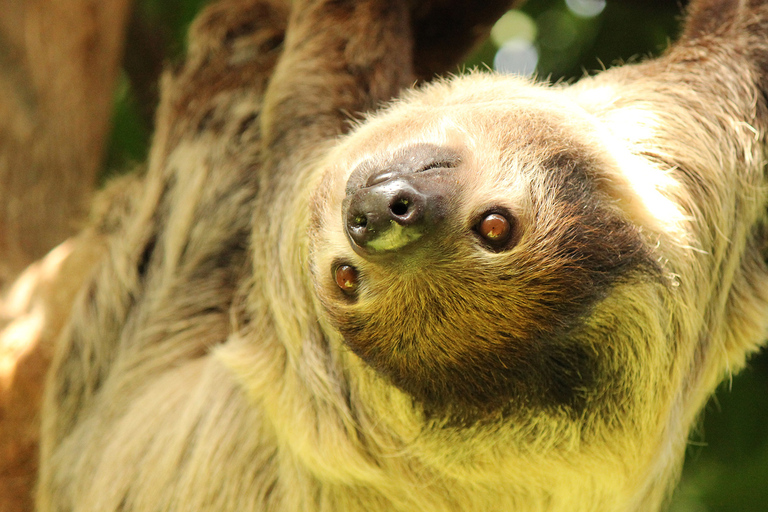 Aquarium de Vancouver : billet coupe-fileVancouver : billet coupe-file pour l'aquarium