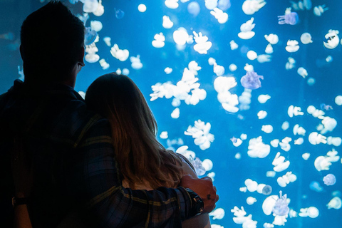 Aquarium de Vancouver : billet coupe-fileVancouver : billet coupe-file pour l'aquarium