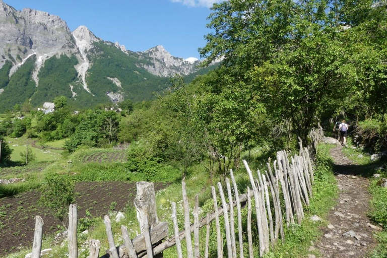 From Tirana or Shkodra: Valbona to Theth Self-Guided Hike