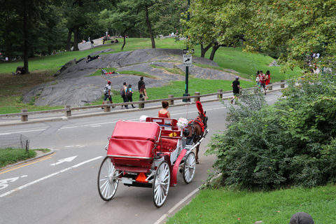 New York City: met de paardenkoets door Central Park