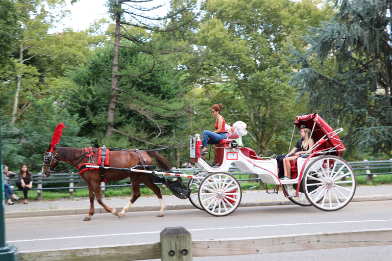 Central Park: breve giro in carrozza (fino a 4 adulti)Central Park: giro breve in carrozza