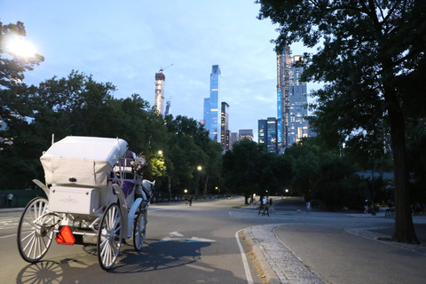 Central Park: Kort tur med häst och vagn (Upp till 4 Vuxna)Central Park: Short Loop Horse Carriage Ride