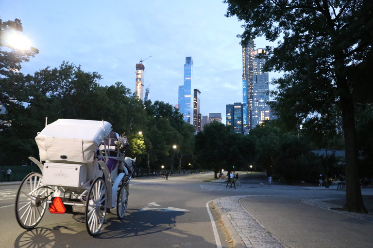 Central Park: Fahrt mit der Pferdekutsche