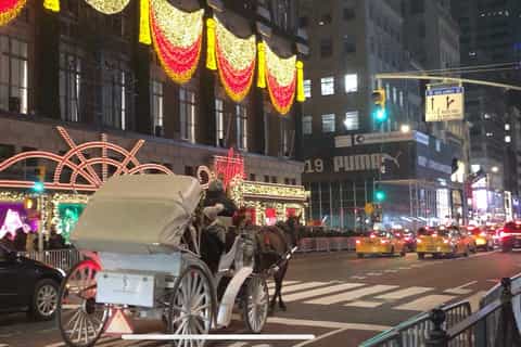 Central Park, Rockefeller & Times Square Horse Carriage Ride