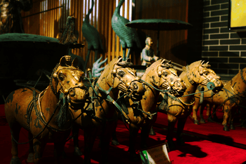 Xi'an Terracotta Warriors Walking Tour with Transfer Options