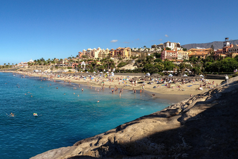 Tuk Tuk Tour of Costa Adeje and Canary Farm Small Group