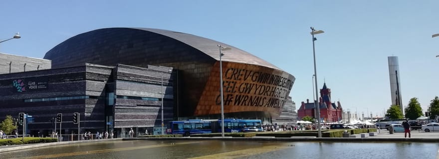 Baie de Cardiff : Visite guidée privée des faits marquants