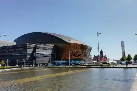 Cardiff Bay: Highlights Private Guided Tour