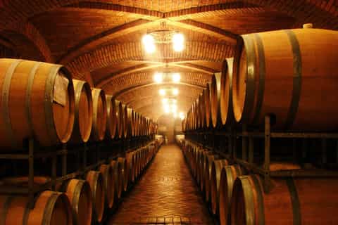 portimão boat and jeep coastal tour with wine tasting