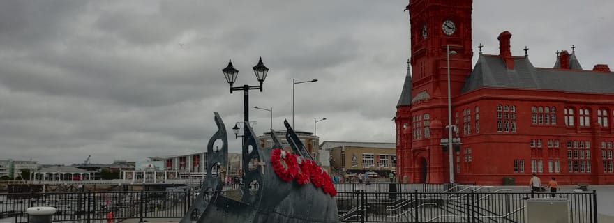 Cardiff : Visite privée d'une demi-journée du centre-ville et de la baie à pied