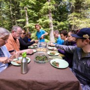 Seattle: Excursão para grupos pequenos com tudo incluído no Mount Rainier Park