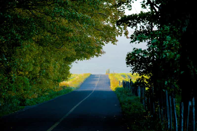Quebec City Scooter Guided Tour on Ile d'Orléans GetYourGuide