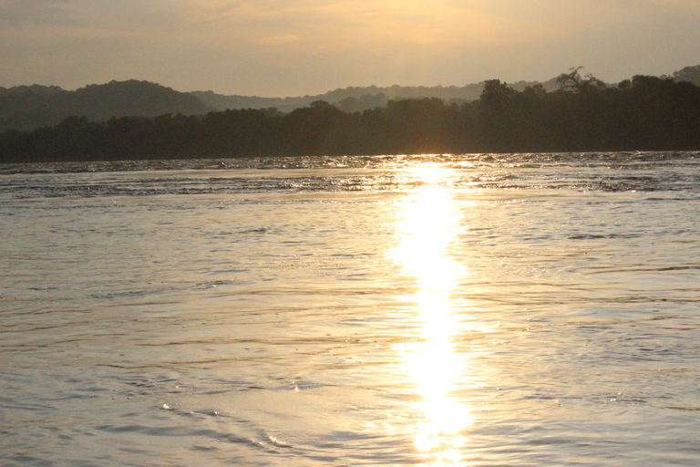 Parc national de Chobe: safari, tour en bateau et déjeuner