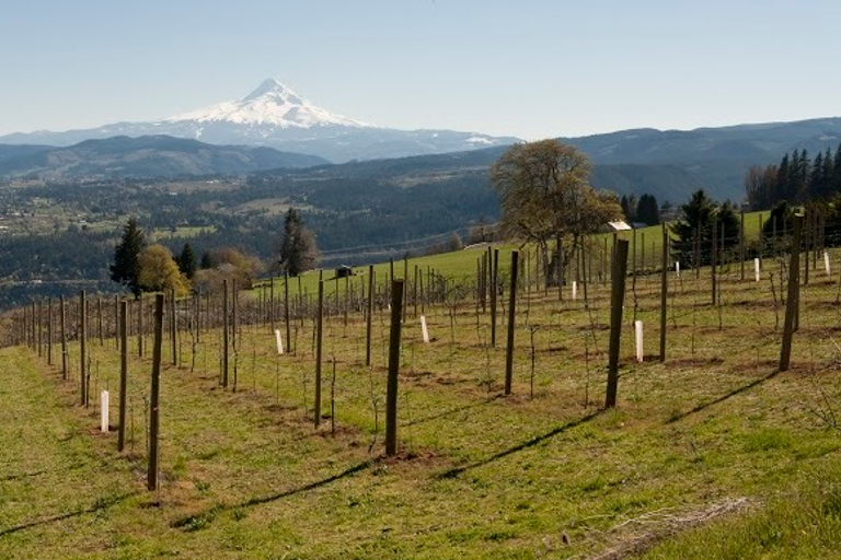Portland: Columbia Gorge Wine and Waterfalls Day Tour Columbia Gorge Waterfalls & Wine