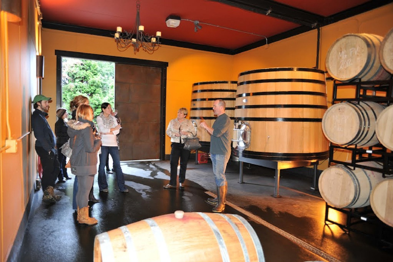 Portland: Columbia Gorge Wine and Waterfalls Day Tour Columbia Gorge Waterfalls & Wine